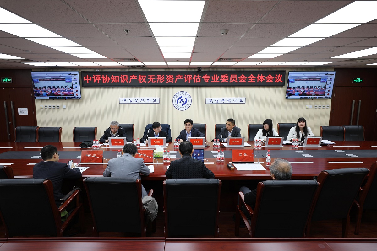 中国资产评估协会知识产权无形资产评估专业委员会召开2025年度全体会议